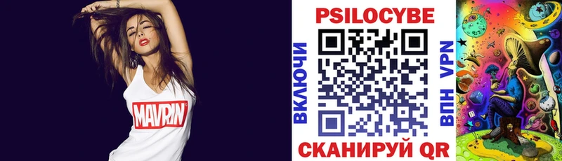 Псилоцибиновые грибы MAGIC MUSHROOMS как найти закладки Жердевка